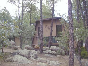 View Bear Tree Cabin