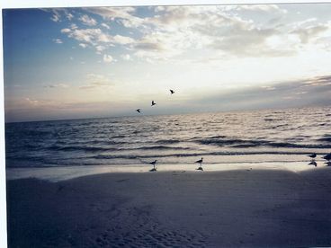 View Estero Beach  Tennis Club