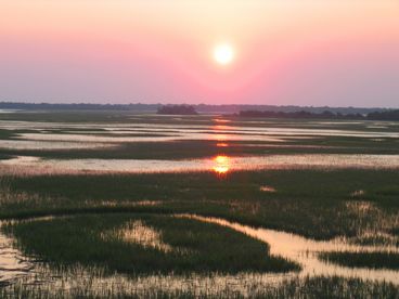 View On the Water  Folly River just