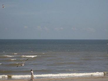 View Beach Front Condo in Casa del mar