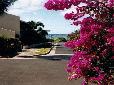 View Maui Banyan Q210 2Bdrm2 Bath Steps