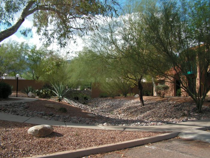 View Sabino Canyon Vacation Hideaway