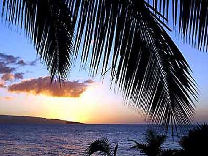 View Makena Landing 