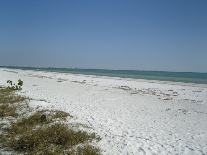 View Tropical  Beach Front Condo