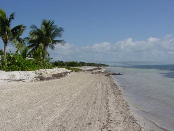 View Coco Plum Beach