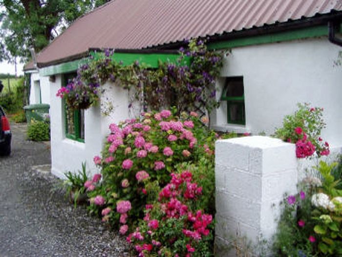 View Shannon Cottages