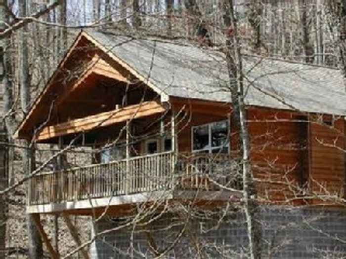 View PetFriendly Cabin w 2 King Master