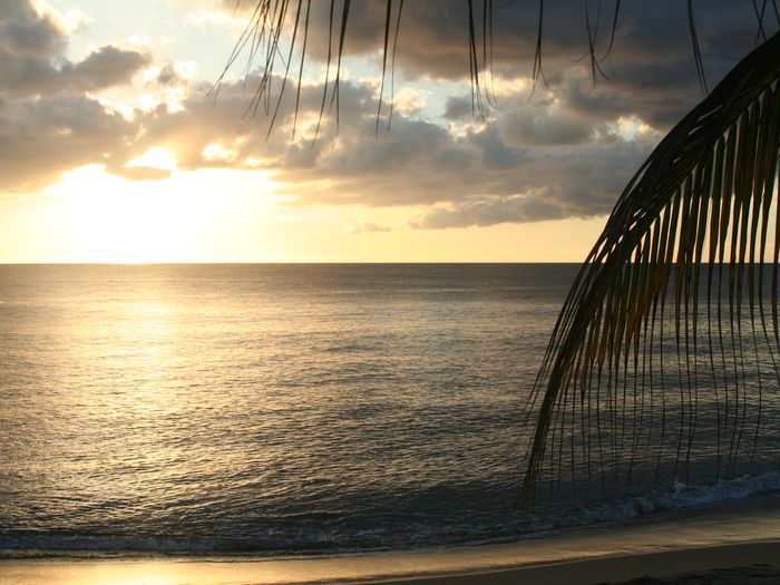 View Rincon Wave View  Steps from the