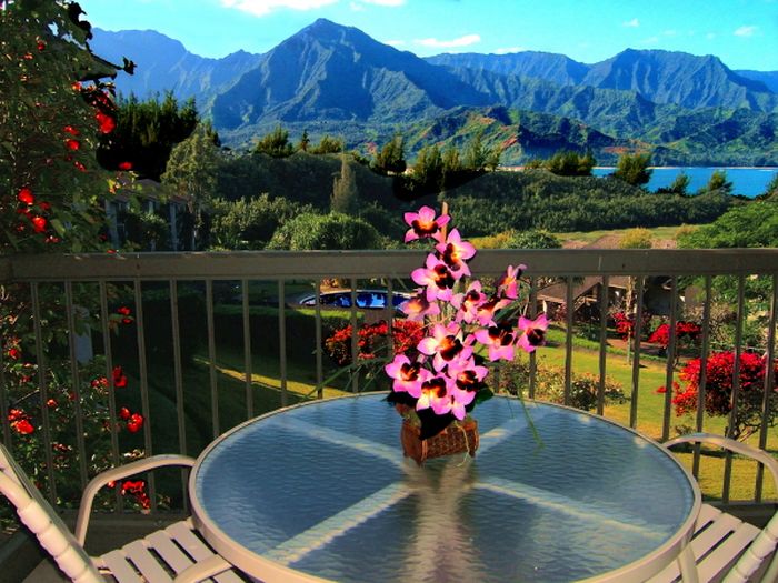 View Condos In Kauai Vacation Rentals