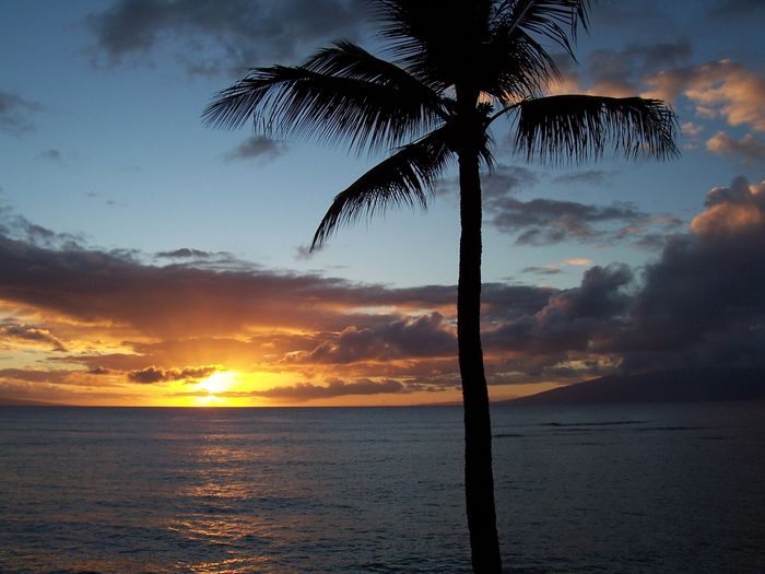 View Hale a ui Lani  House of Beautiful