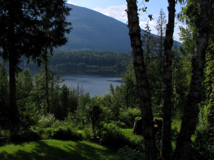 View Shuswap Vacation Rental Pet Friendly