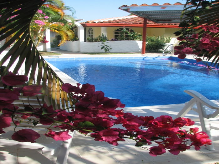 View Las Bougainvilleas Villas near