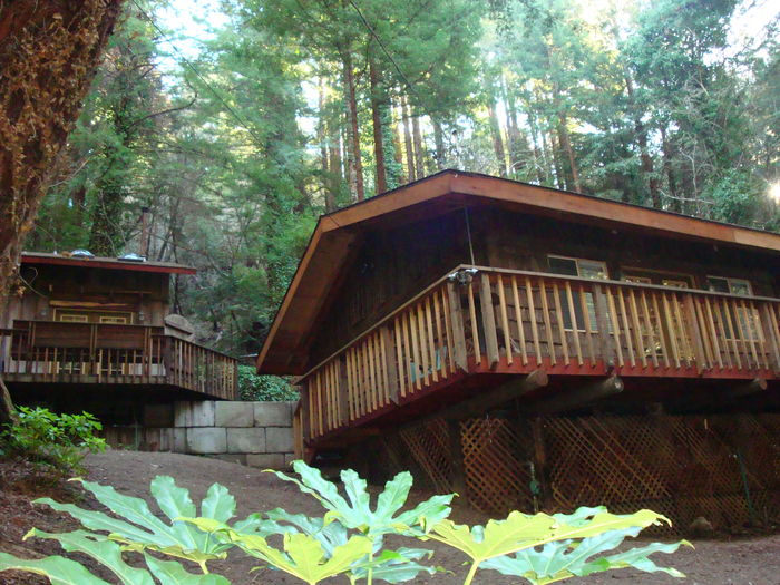 View 2 Unique Cabins in Big Sur Pet