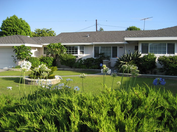 View Island Oasis Pool Home Near Disneyland