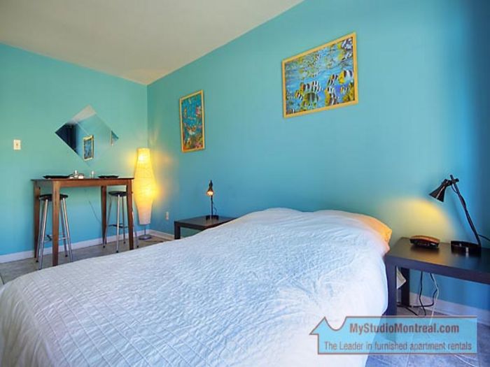 View Montreal Studio For Rent