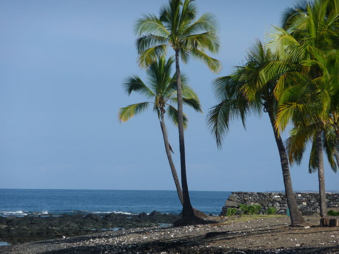 View KEAUHOU  SURF  RACQUET CLUB