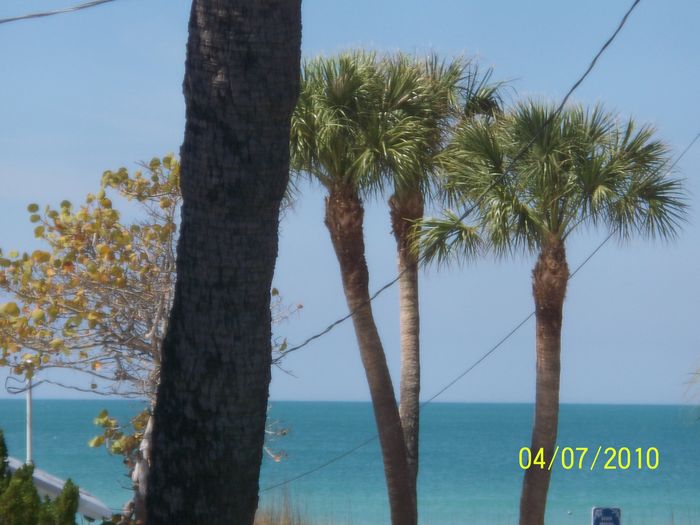 View Pet Friendly 2 bedroom