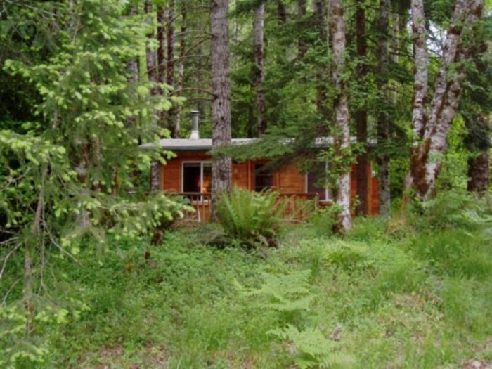 View Mt Rainier Couples Cabin