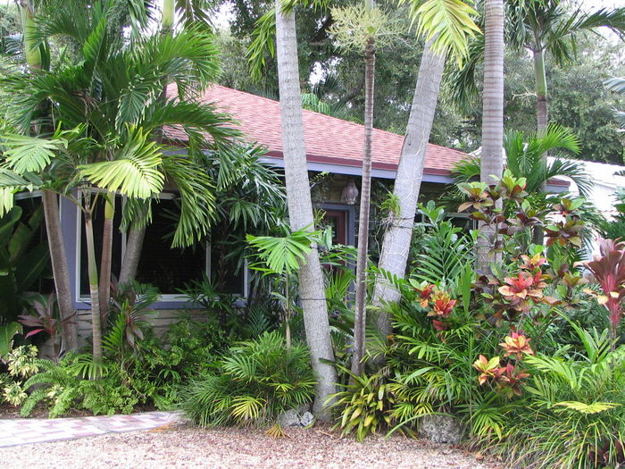 View RAINFOREST Cottage or Chalet