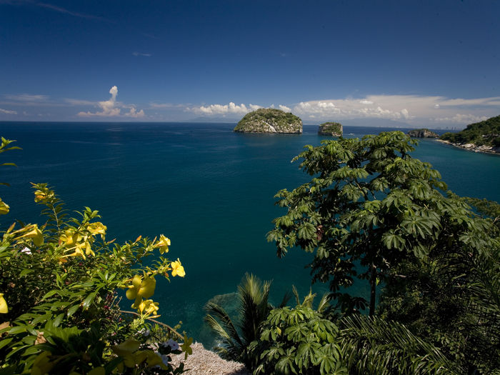 View Villa in Mismaloya