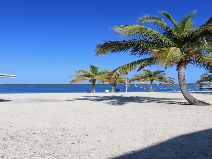 beaches in key largo florida beaches in key largo florida