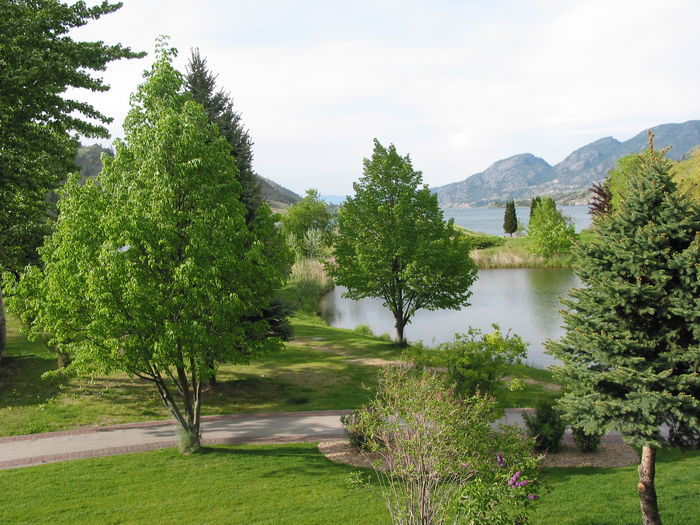 View Luxury Waterfront Condo on Skaha