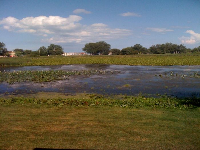 View Lake Erie 2