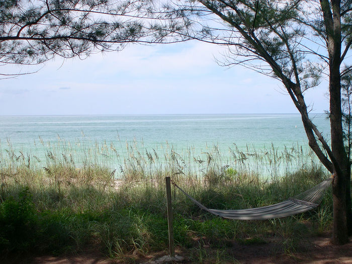 View Gulf Front Sunset Beach Home