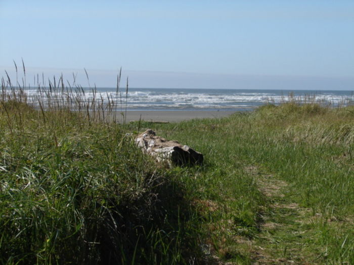 View Beachfront Hideaway  Oceanfront