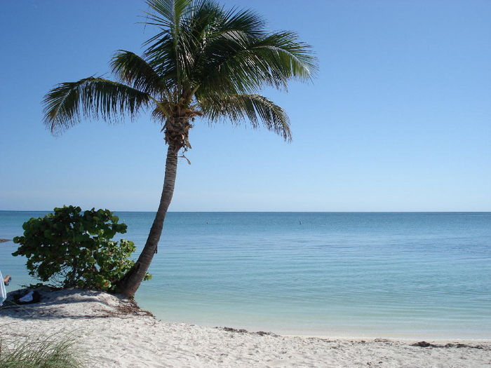 View Sombrero Beach Hideaway