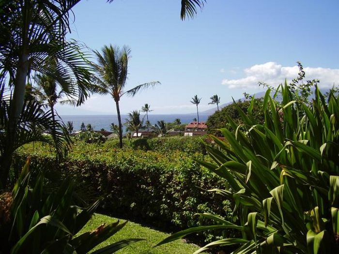 View Maui Kamaole J121  1b