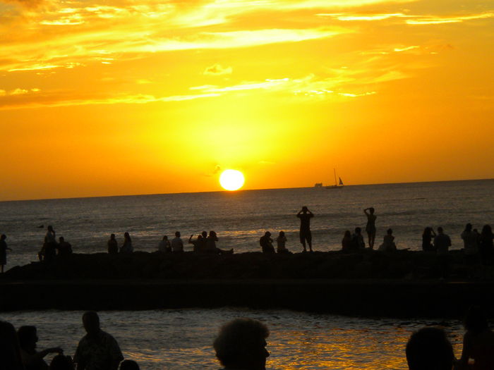 View Waikiki Skyliner