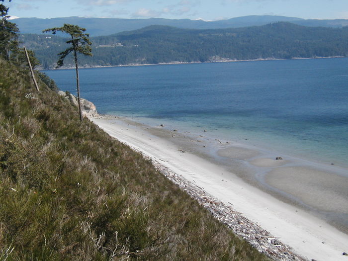 View Savary Island Paradise