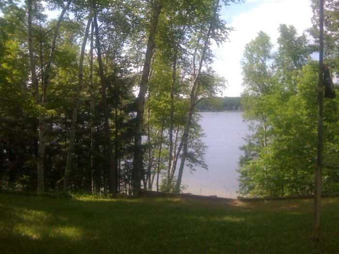 Hale, Michigan Log Cabin on Loon Lake