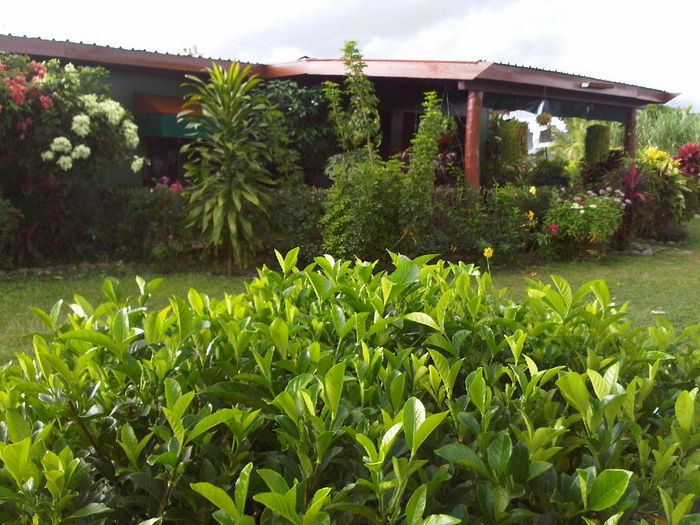 View Korumba Mountain Hideaway