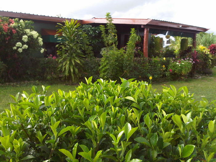 View Korumba Mountain Hideaway