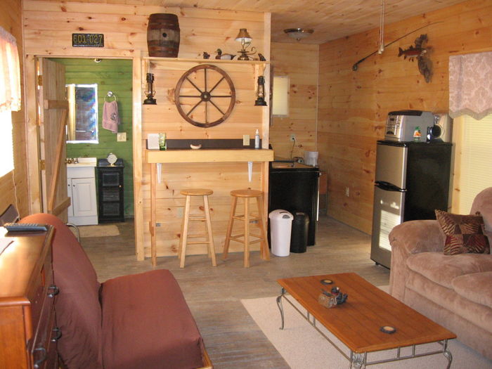 View Pisgah Forest cabin