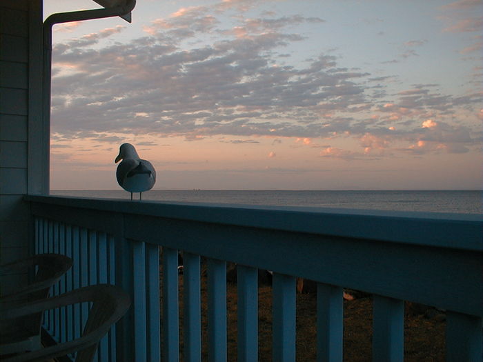 View Lighthouse Manor