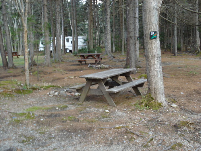 View Sherwood Forest Campsite  Next