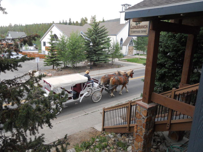 View Longbranch Condo  Downtown Breckenridge