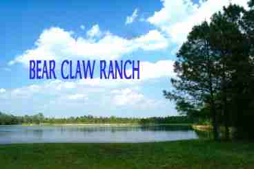 View Bear Claw Ranch