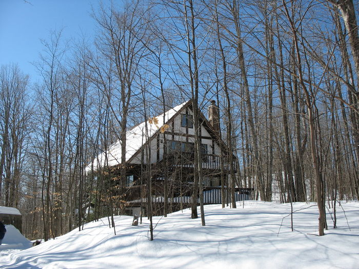 View Woodland Chalet