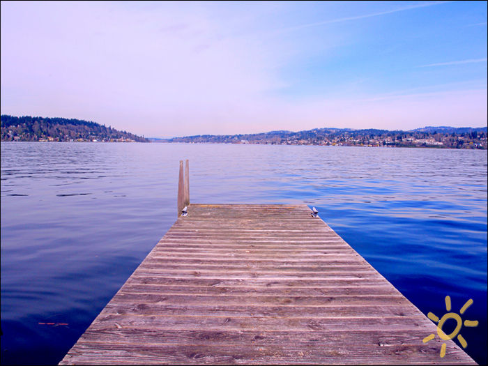 View Escape on Lake Washington