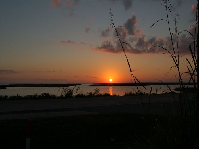 View Sunset Nest