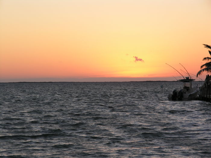 View Calusa Paradise