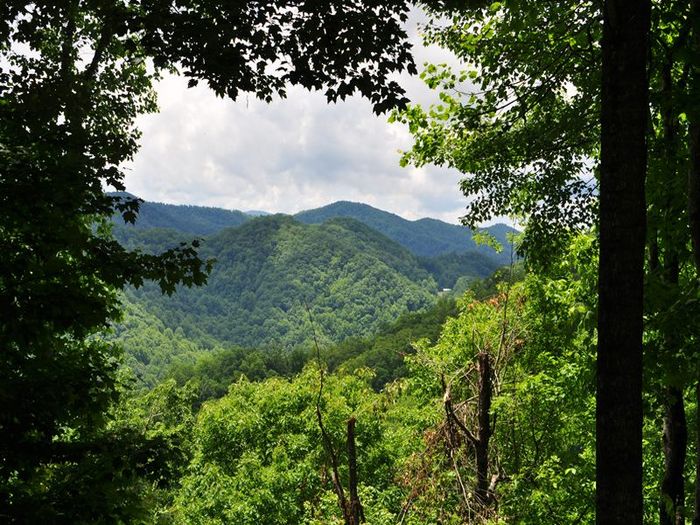 View Dreamers Ridge  Spacious Mountaintop