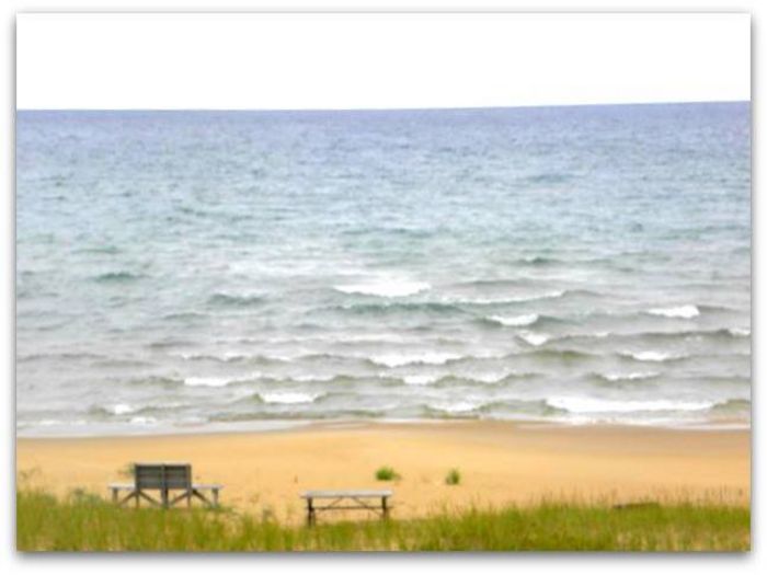 View Cabin in the Dunes on Lake Michigan