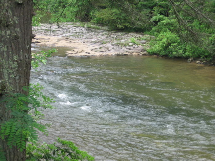 View Clearwater Cabin