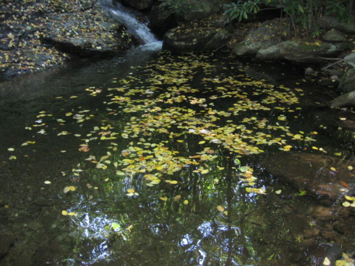 View Shuford Creek Cabin