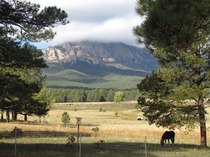 View Rancho Amistad